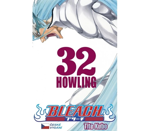 Bleach 32