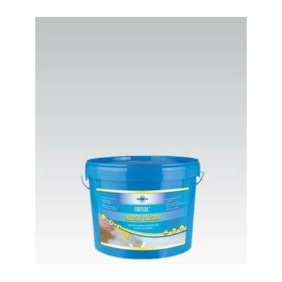 Adhezní můstek Fortesil 1kg