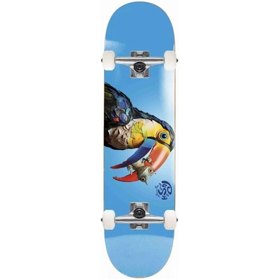 Push Toucan