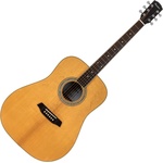 Pasadena PD-350 Natural Gloss Акустична китара