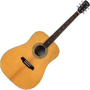 Pasadena PD-350 Natural Gloss Акустична китара