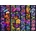 Bluebird Puzzle - Puzzle Flowers and Flyers - 500 piese