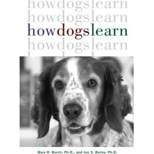 How Dogs Learn