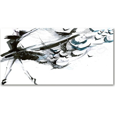 Foto obraz sklo tvrzené baletka 100x50 cm