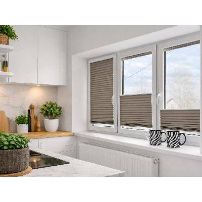 Zebra-Shop Plissé Lux Simple KÁVA PP155 127 x 111-150 cm