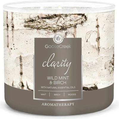 Goose Creek Candle AROMATHERAPY WILD MINT & Birch 411 g