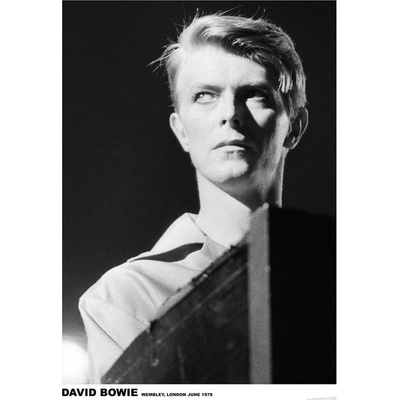 Plagát, Obraz - David Bowie - Wembley 1978, 59.4 × 84.1 cm