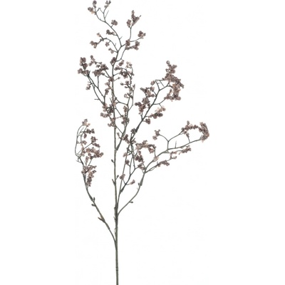 Gypsophila větev (spray) 'Mandy' hnědá V71 cm