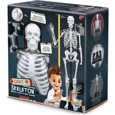 Buki France Образователен комплект Buki France - Човешки скелет (BK2181)