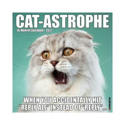 Wlcp Cat-Astrophe 12 X 12 Wall 2027