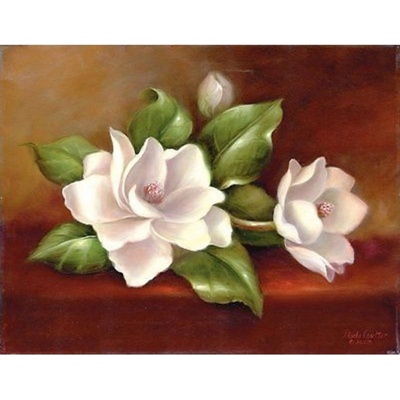 STM Creatoys Malování Magnolie