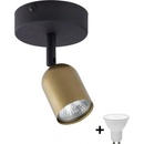 TK lighting 3301