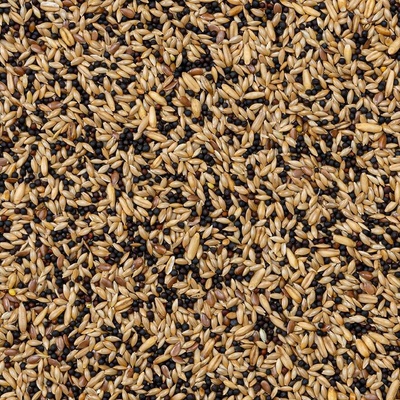 Deli Nature 50 Canaries Basic 4 kg
