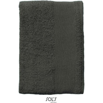 SOL's Collection Osuška Bayside 100 šedá 100 x 150 cm