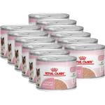 Royal Canin Babycat Instinctive консерва за кърмещи котки и котенца 12 x 195 g
