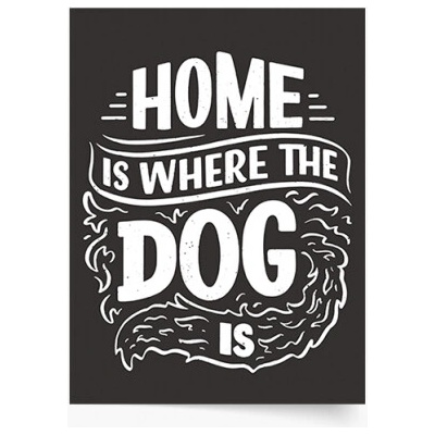 Plagát Home is where the dog is 21x30 - 100525