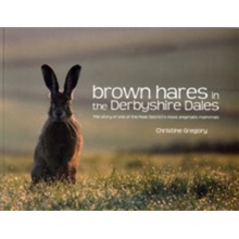 Brown Hares in the Derbyshire Dales