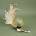 ARTURE 152001