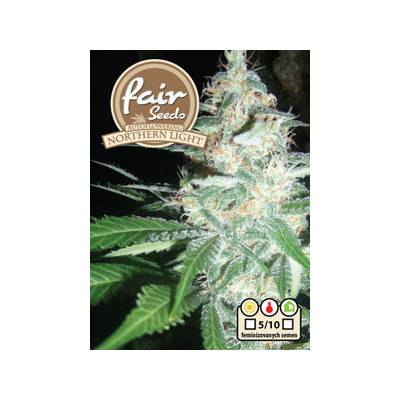 Fair Seeds Northern Light semena neobsahují THC 10 ks