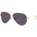 Ray-Ban Aviator Reverse RB0101S 001/1A