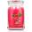 Yankee Candle Art in the Park 567 g
