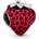 Pandora 791681C01