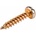 Obo bettermann Bolt M6x30 GOLDEN SPRINT 4758 6, 0x30 3195910 /200pcs. /