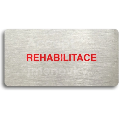 ACCEPT Piktogram REHABILITACE - stříbrná tabulka - barevný tisk bez rámečku