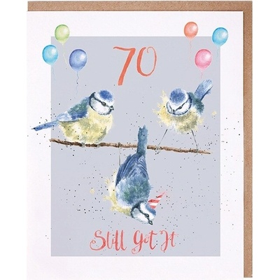 Narozeninové přání "70 Still Got It" - Sýkorky
