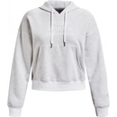 Under Armour Essential Script Hoodie FW22
