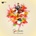 Vision String Quartet: Spectrum LP