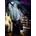 Ravensburger - Puzzle Black Cat and Raven - 500 piese
