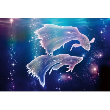 DIMEX ART s. r. o Флизелинов фототапет зодиакален знак - риби 375 x 250 см