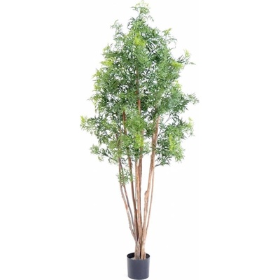 Umelý strom Aralia Ming Nitída, 180cm