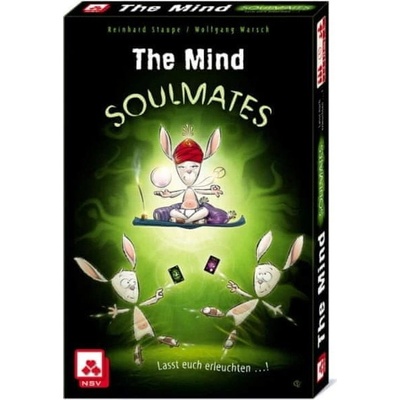 NSV Soulmates The Mind