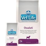 Vet Life Oxalate 2 kg