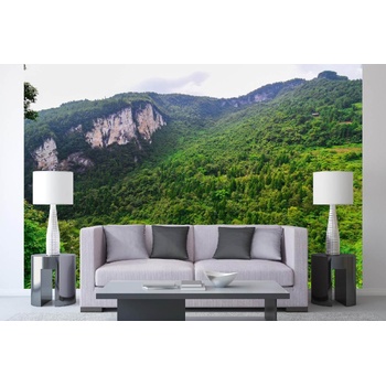 DIMEX ART s. r. o Самозалепваща се флизелинова фототапета улонг, китай 375 x 250 см