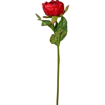 AKCIA!!!KS PIVONIA 47CM ČERVENÁ