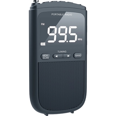 Diva FM2024C