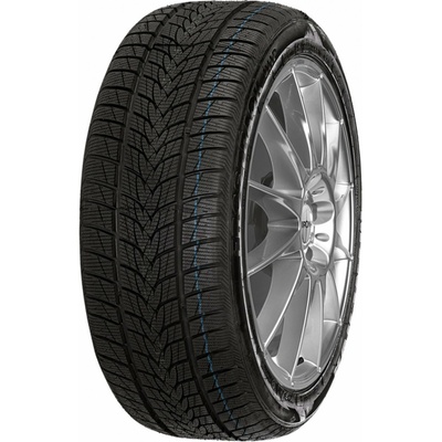 Minerva Frostrack HP 195/55 R20 95H