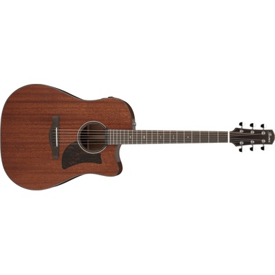 Ibanez AAD440CE-LGS