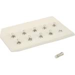 OSRAM Крушка osram pbt5, 24v, 1.2w, 10 броя