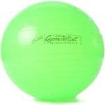 Ledragomma PEZZI GymBall, fluo green, кутия, 65 см