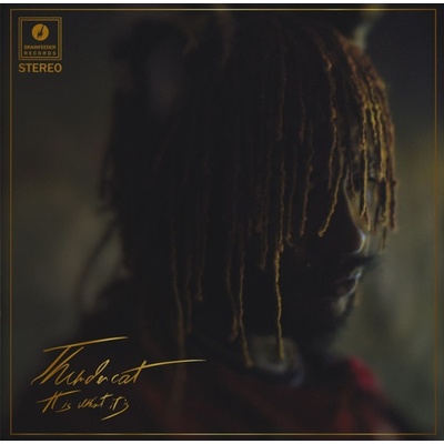Thundercat - It Is What It Is (Gatefold Sleeve) (Clear Coloured) (LP) (5054429140798)