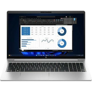 HP ProBook 450 G10 8X9R4ES