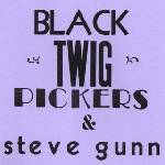 Black Twig Pickers & Steve Gunn - Lonesome Valley (Limited Edition) (7") (0790377035575)