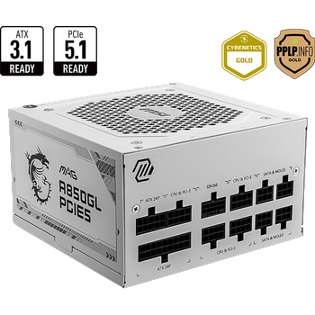 MSI MAG A850GL PCIE5 850W 80 PLUS Gold (306-7ZP8A11-CE0)