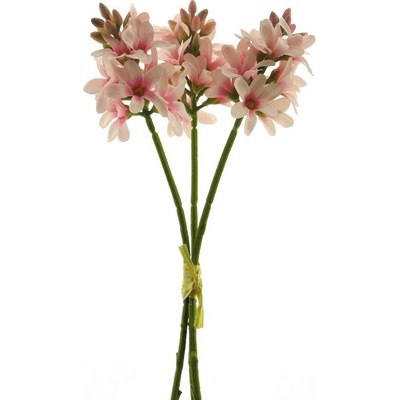 Hyacint svazek x3 růžový 30 cm