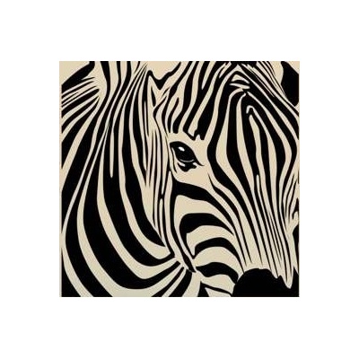 Amparo Miranda® Dekorace na stěnu Zebra Z002, Rozměry dekorace 60 x 60 cm