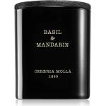 Cereria Mollá Basil & Mandarin 230 g